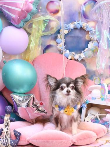 20240816空太くん